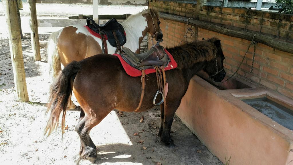 Pousada Suites Águas de São Pedro Kültér fotó