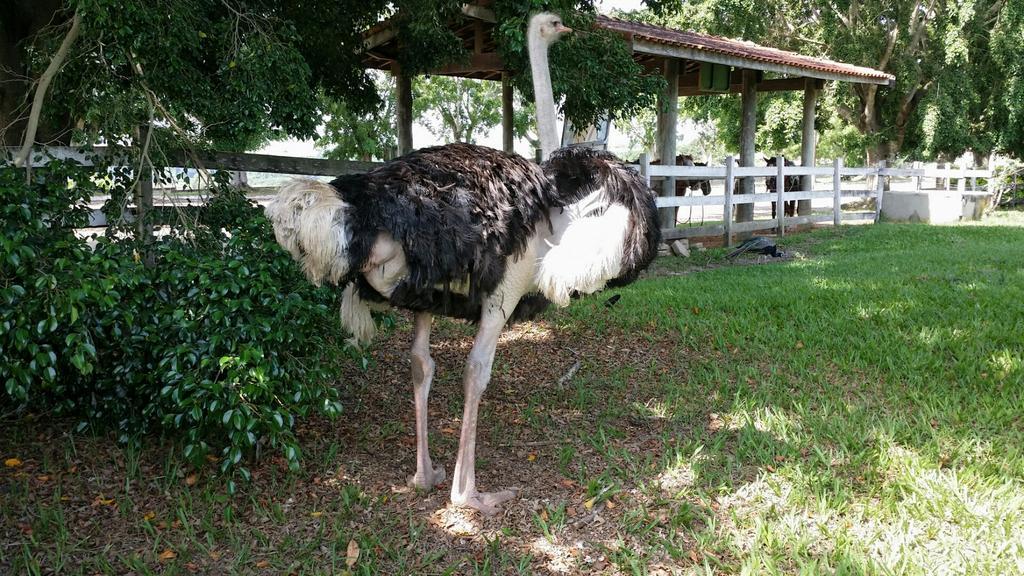 Pousada Suites Águas de São Pedro Kültér fotó